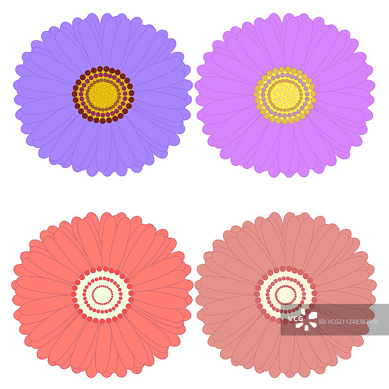 装饰性翠菊俯视设计元素图片素材