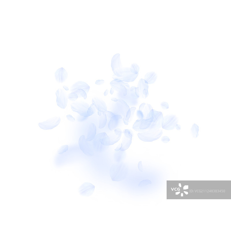 飘落的浅蓝色花瓣图片素材