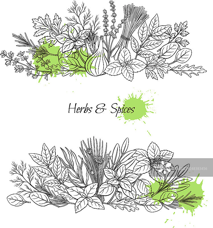 烹饪草药和香料图片素材