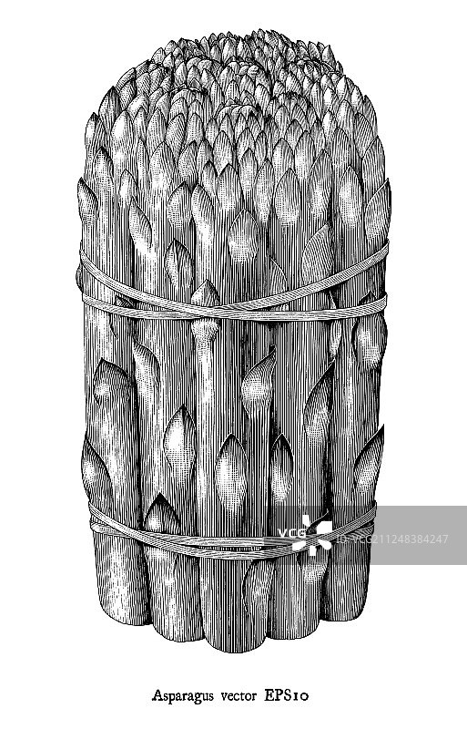 黑白古董雕刻芦笋图片素材