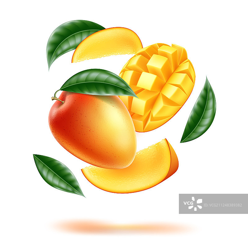芒果叶切块运动图片素材