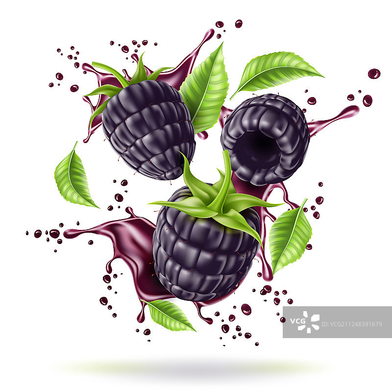 动态逼真多汁黑莓图片素材