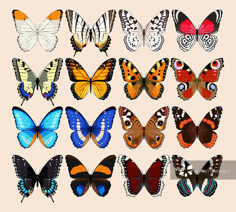 蝴蝶图案合集图片素材