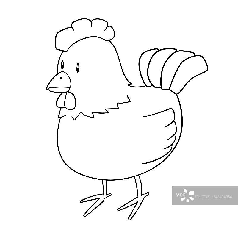 鸡图片素材