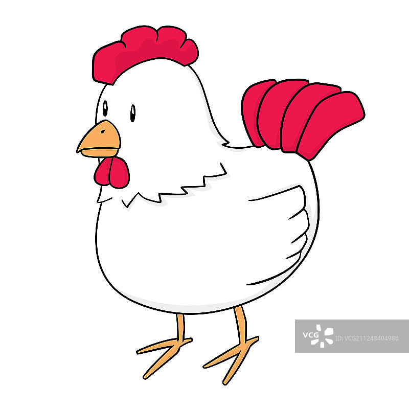 鸡图片素材