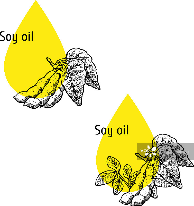 手绘大豆油图标集图片素材