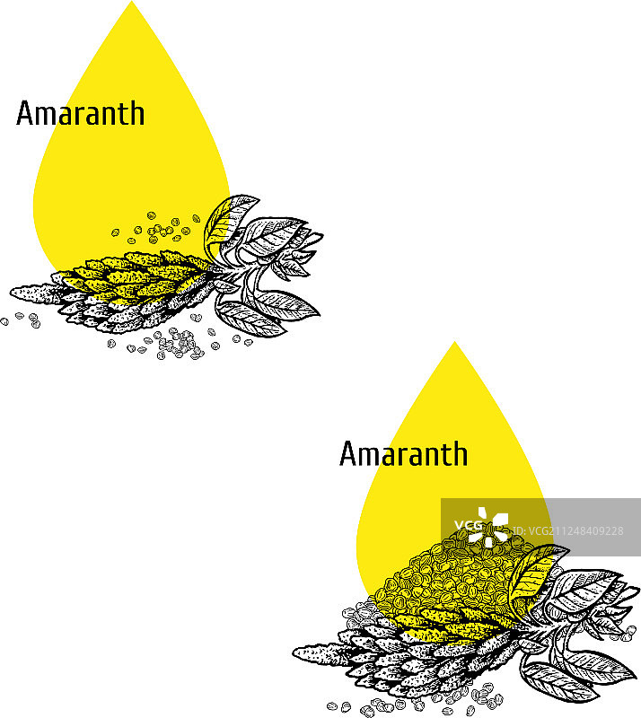 苋菜油手绘草图提取物图标集图片素材