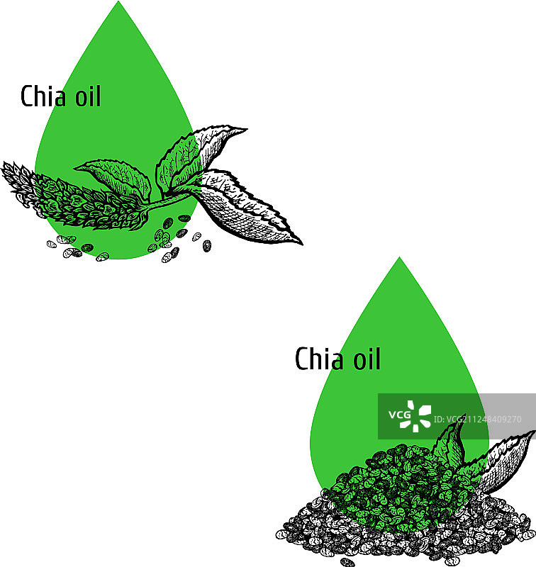 奇亚籽油图标手绘草图图片素材