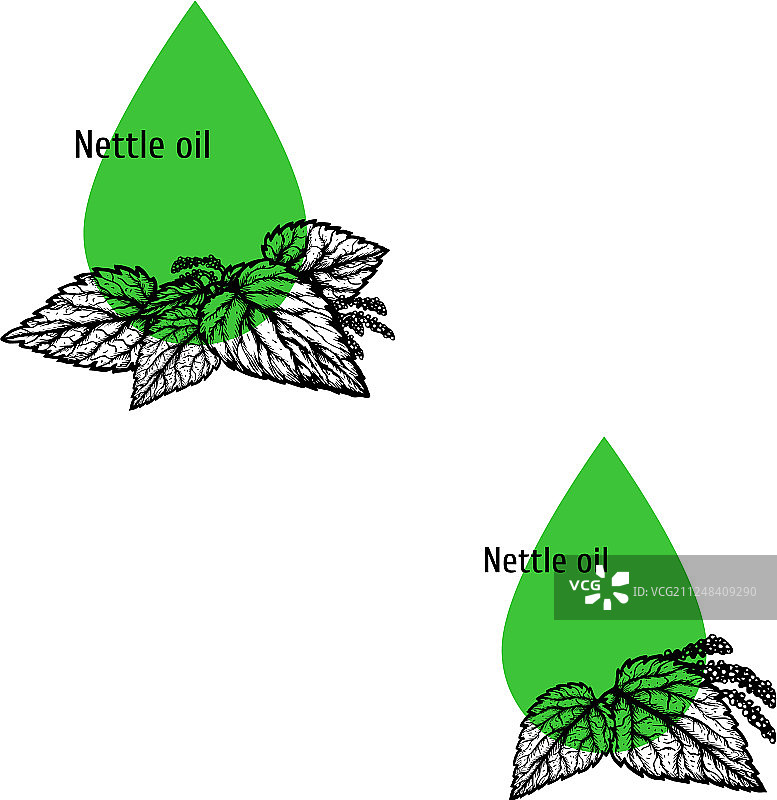 荨麻油图标手绘草图提取物图片素材