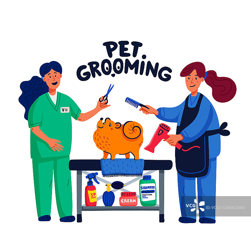 可爱的狗狗在宠物美容院，两个年轻女孩图片素材