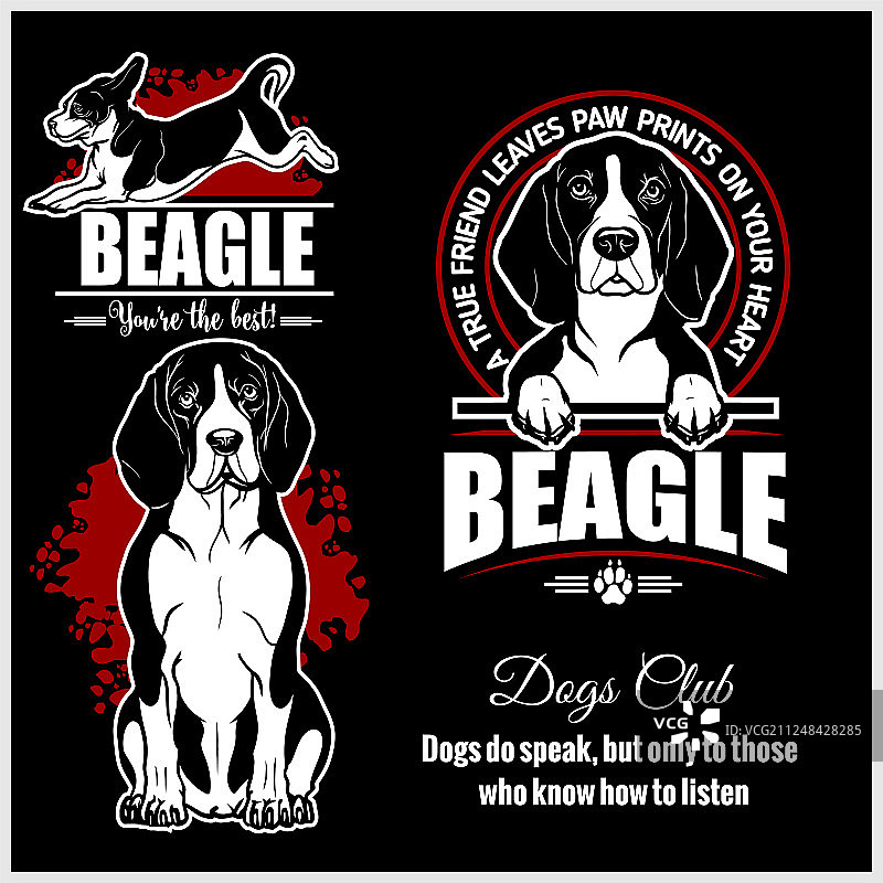 比格犬 - T恤标志和模板套装图片素材