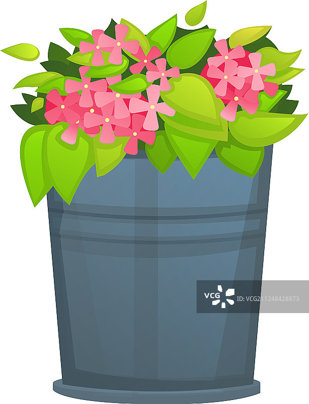 金属桶盆中的粉色花朵与绿叶图片素材