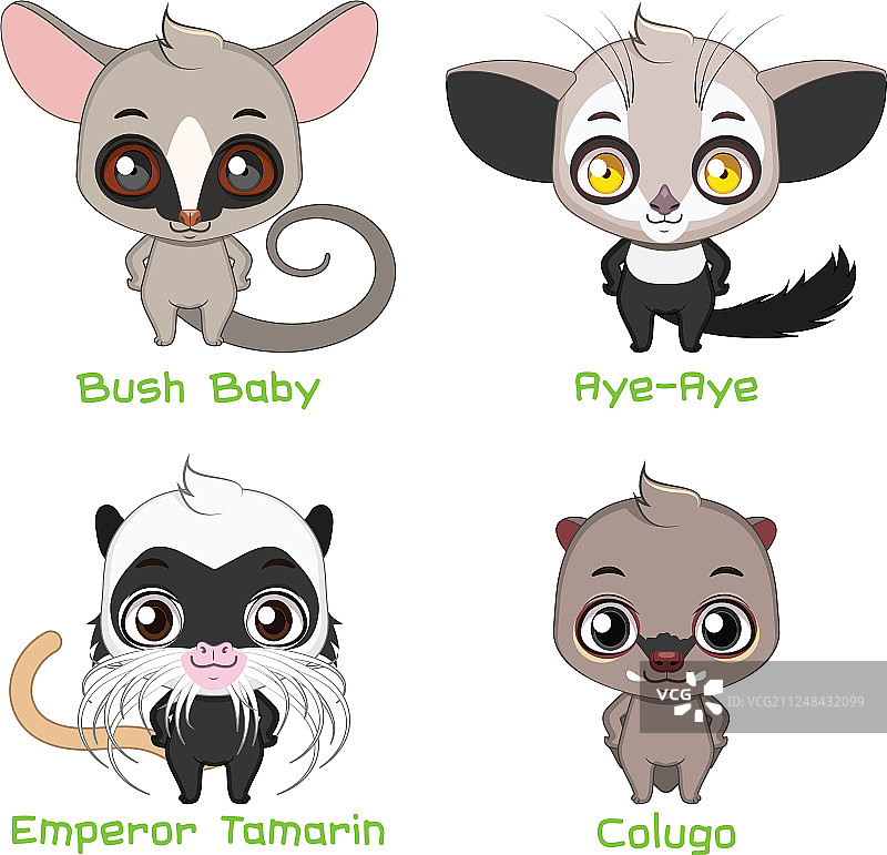 小型树栖动物图片素材