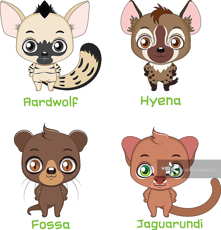 猫型亚目科动物套装图片素材