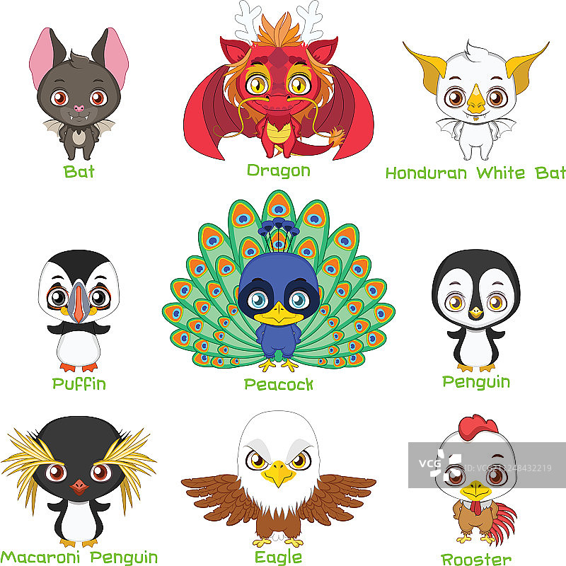 多种鸟类动物合集图片素材