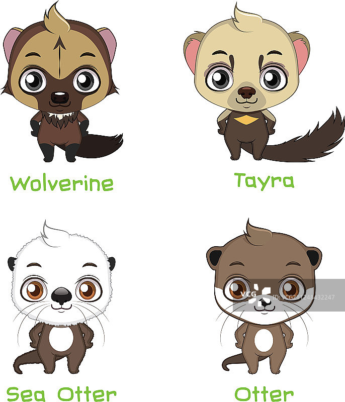 多种鼬类动物素材图片素材