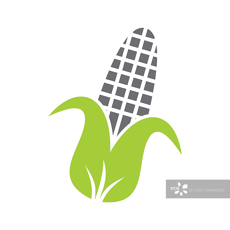 白色背景上的玉米图标，适用于图形和网页图片素材