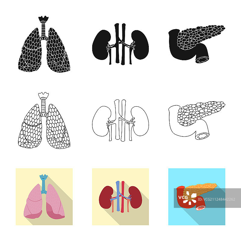 身体和人体符号合集设计图片素材