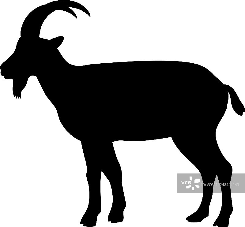 比利山羊哺乳动物黑色剪影图片素材