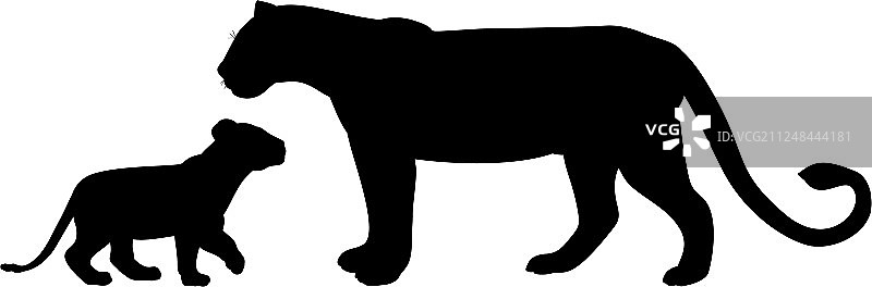 母狮和幼狮捕食者黑色剪影图片素材