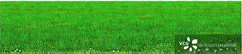 绿色草坪纹理图片素材