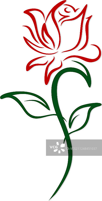 红色花园玫瑰图片素材