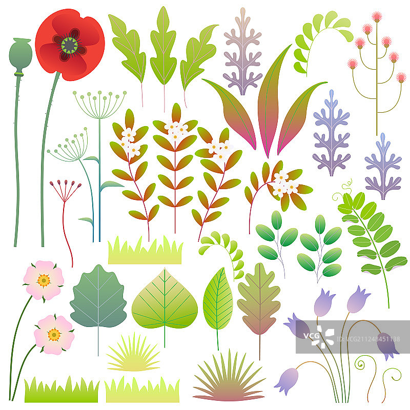 扁平风格春季花卉元素合集图片素材