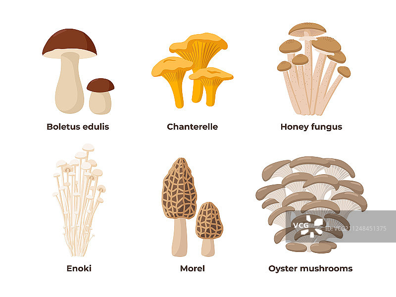 扁平风格蘑菇素材图片素材