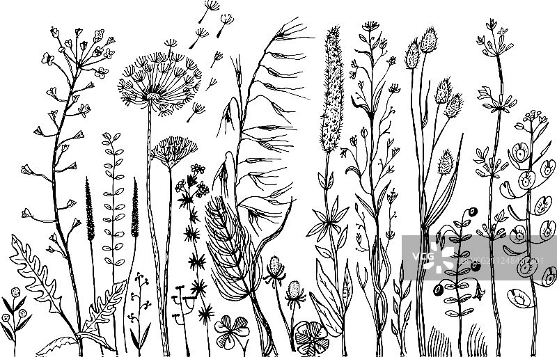 带叶子的婚礼植物野花套装图片素材