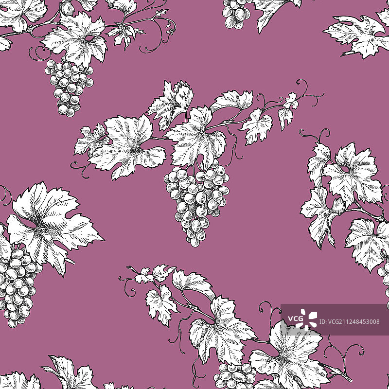 葡萄枝蔓无缝图案图片素材