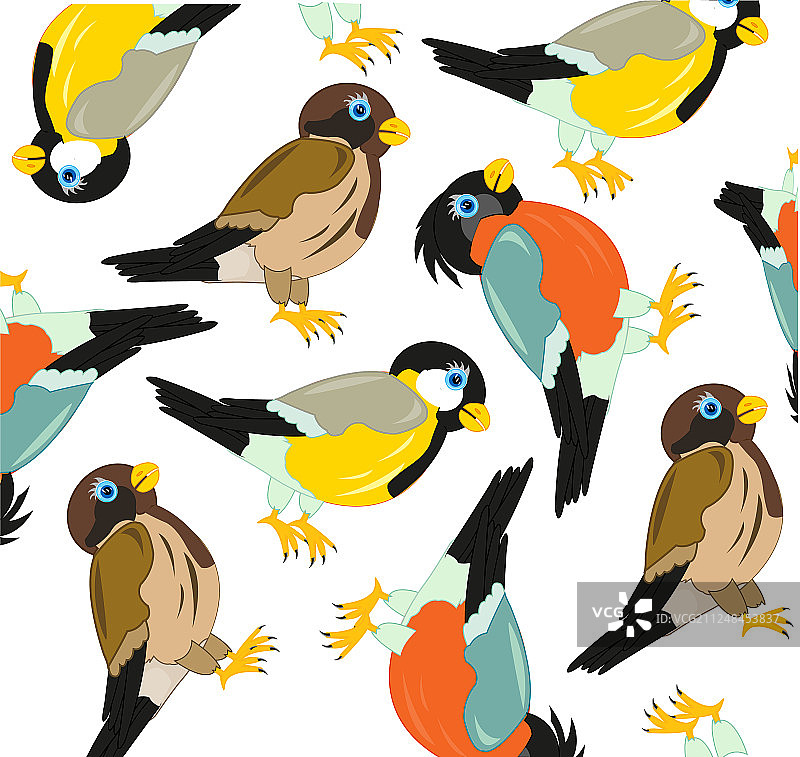 麻雀山雀红腹灰雀图案图片素材