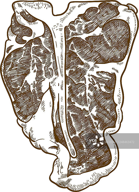 T骨牛排雕刻图片素材