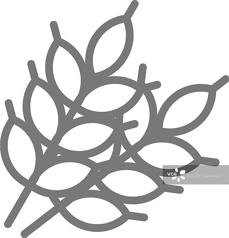 小麦颗粒线条图标图片素材