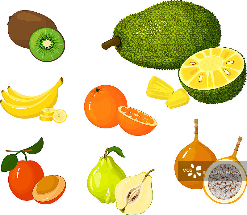 热带异域水果图标合集图片素材