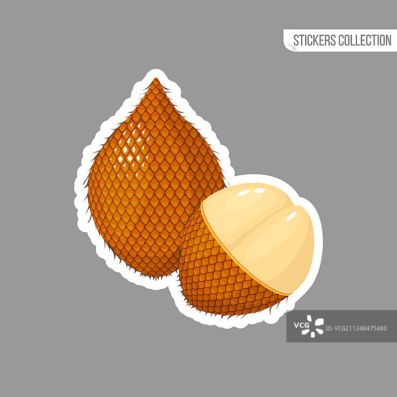 新鲜伊塔棕榈水果卡通贴纸图片素材