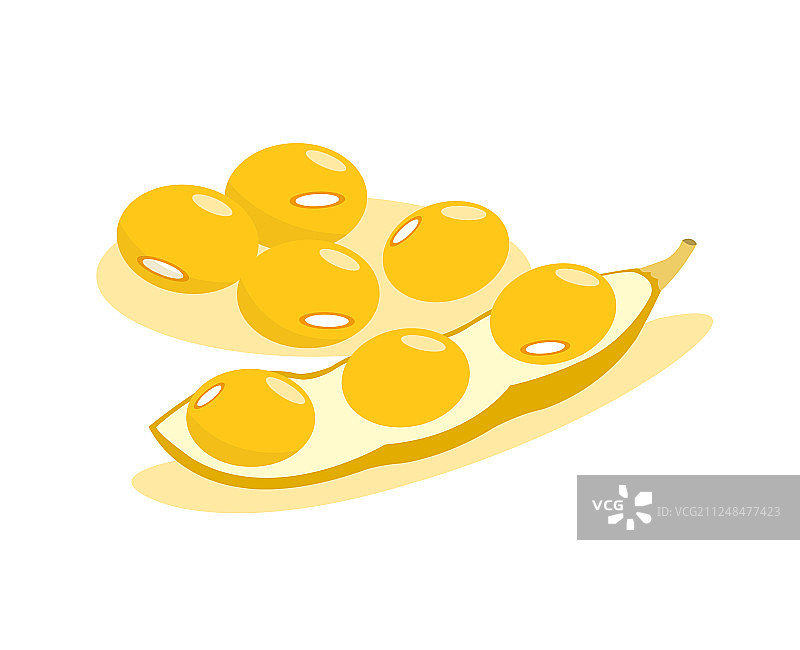 白色背景上的大豆和豆荚图片素材