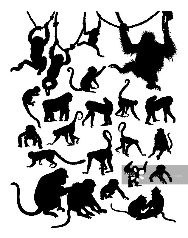 猴子剪影细节图片素材