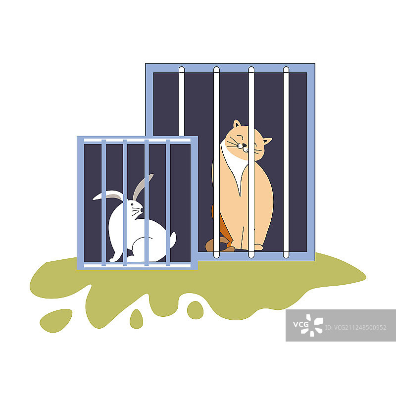 动物收容所小猫和小兔子坐在笼子里图片素材
