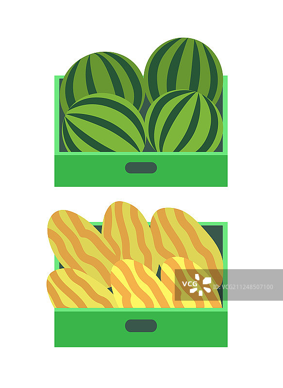 夏季水果：哈密瓜和西瓜图片素材