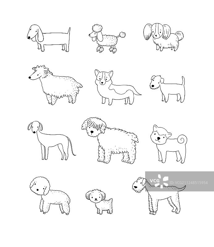 各种不同品种的可爱卡通小狗图片素材