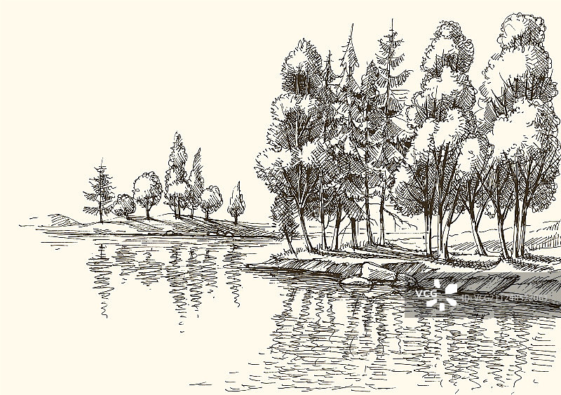 湖岸或河岸边的树木绘画图片素材