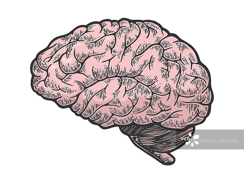 人脑彩色素描雕刻图片素材