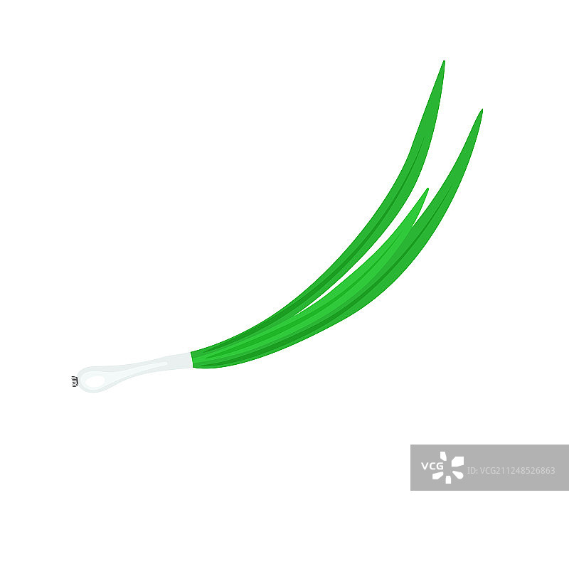 卡通青葱，白色背景图片素材
