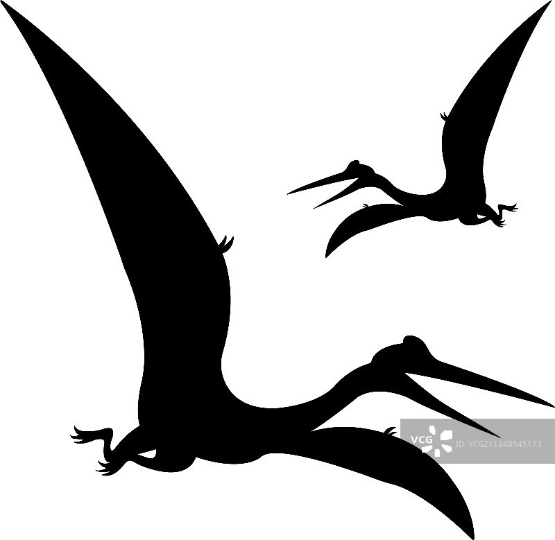飞翔的黑色翼龙剪影图片素材