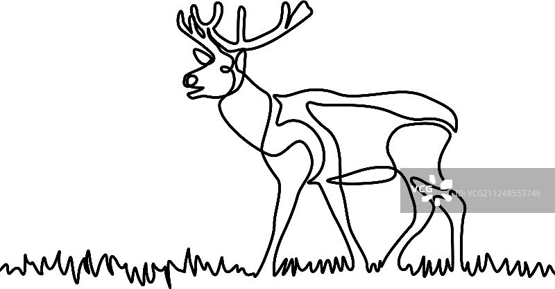 草地上的连续线条麋鹿图片素材