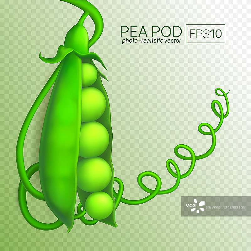 透明背景上的绿色豌豆荚图片素材