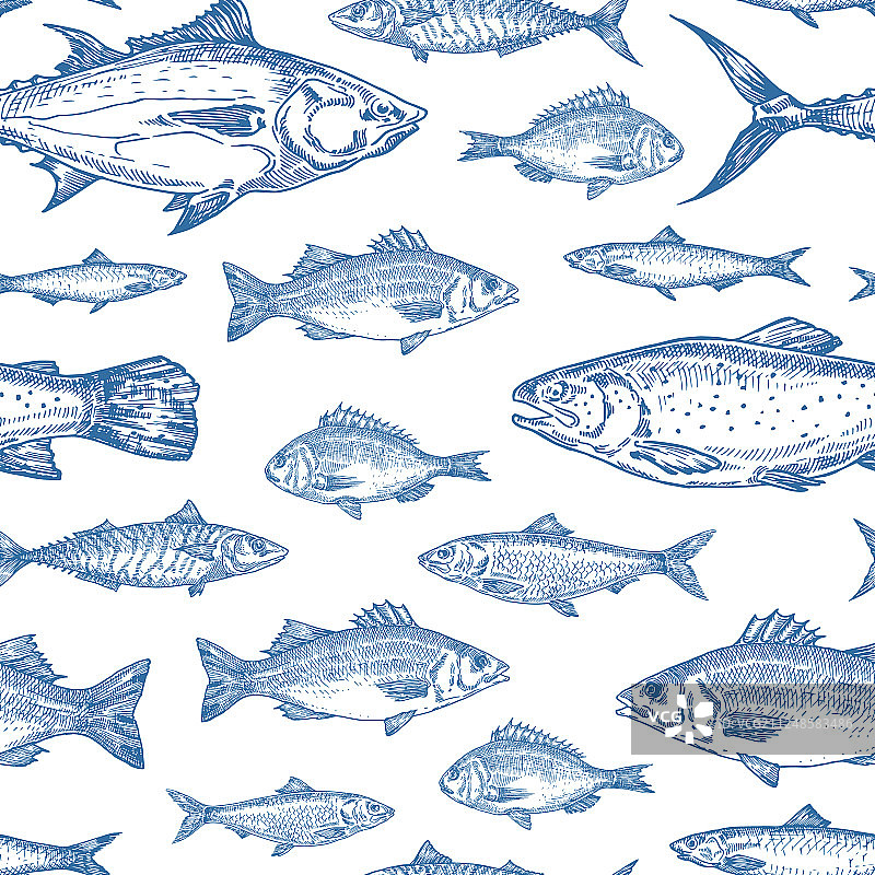 手绘海洋鱼类无缝背景图片素材