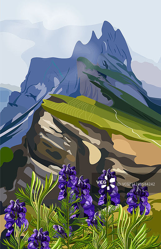 薰衣草和山丘图片素材