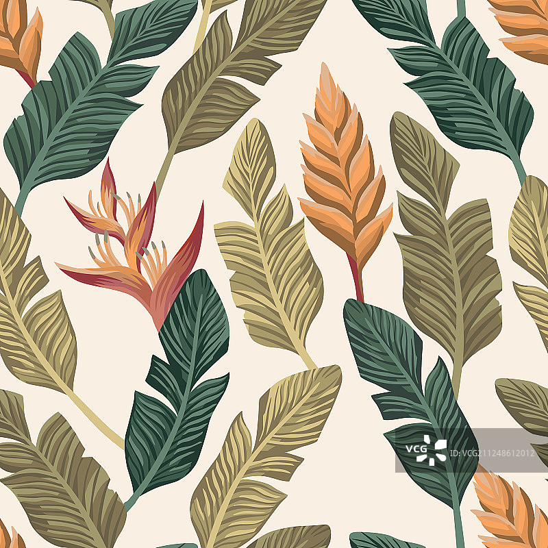 香蕉叶花卉无缝白色背景图片素材