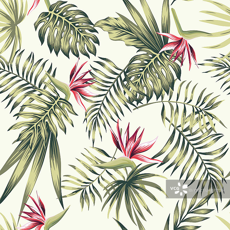 鸟类天堂鲜花热带棕榈叶图片素材